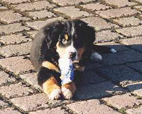 Ausruhen ..... ist meine gro�e Leidenschaft!!!!!