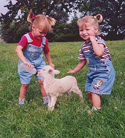 girls and lambs 003.jpg (14119 Byte)